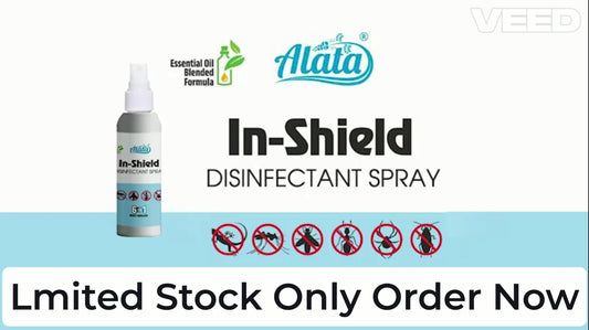 INSECT SPRAY